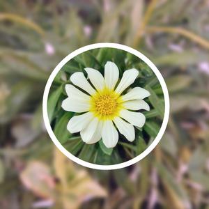 R18 美女 成人 网站
