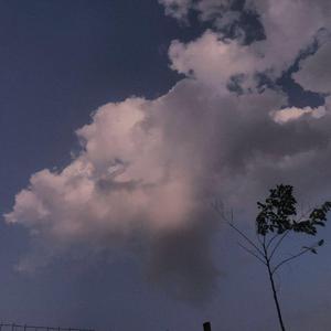 R18 美女 成人 网站
