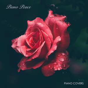 R18 美女 成人 网站
